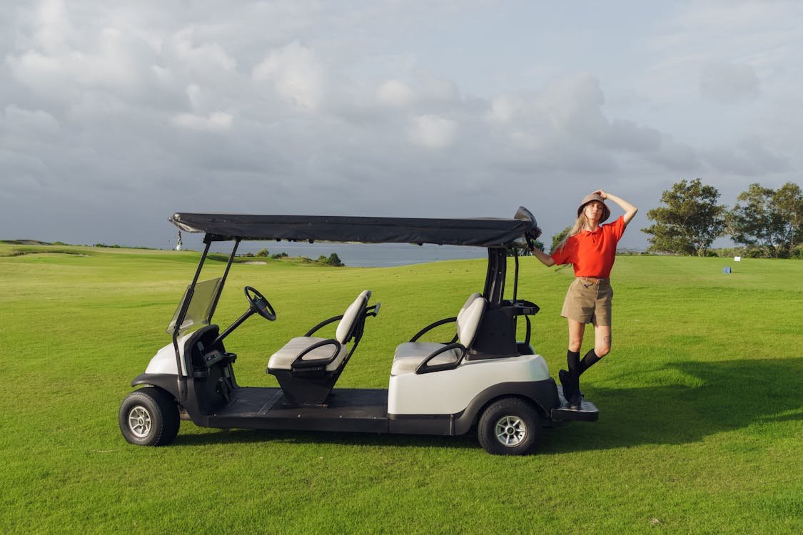 disadvantages of lithium golf cart batteries lifepo4 pack