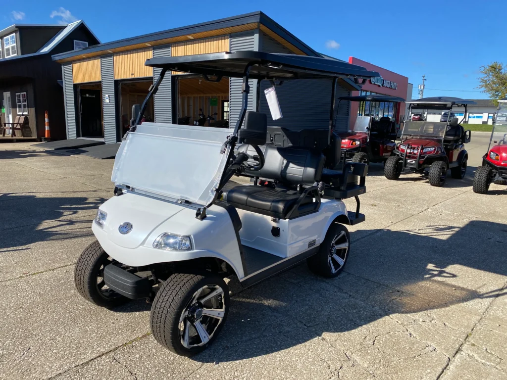 Evolution golf cart charge port and lithium charger used to diagnose a won't charge fault