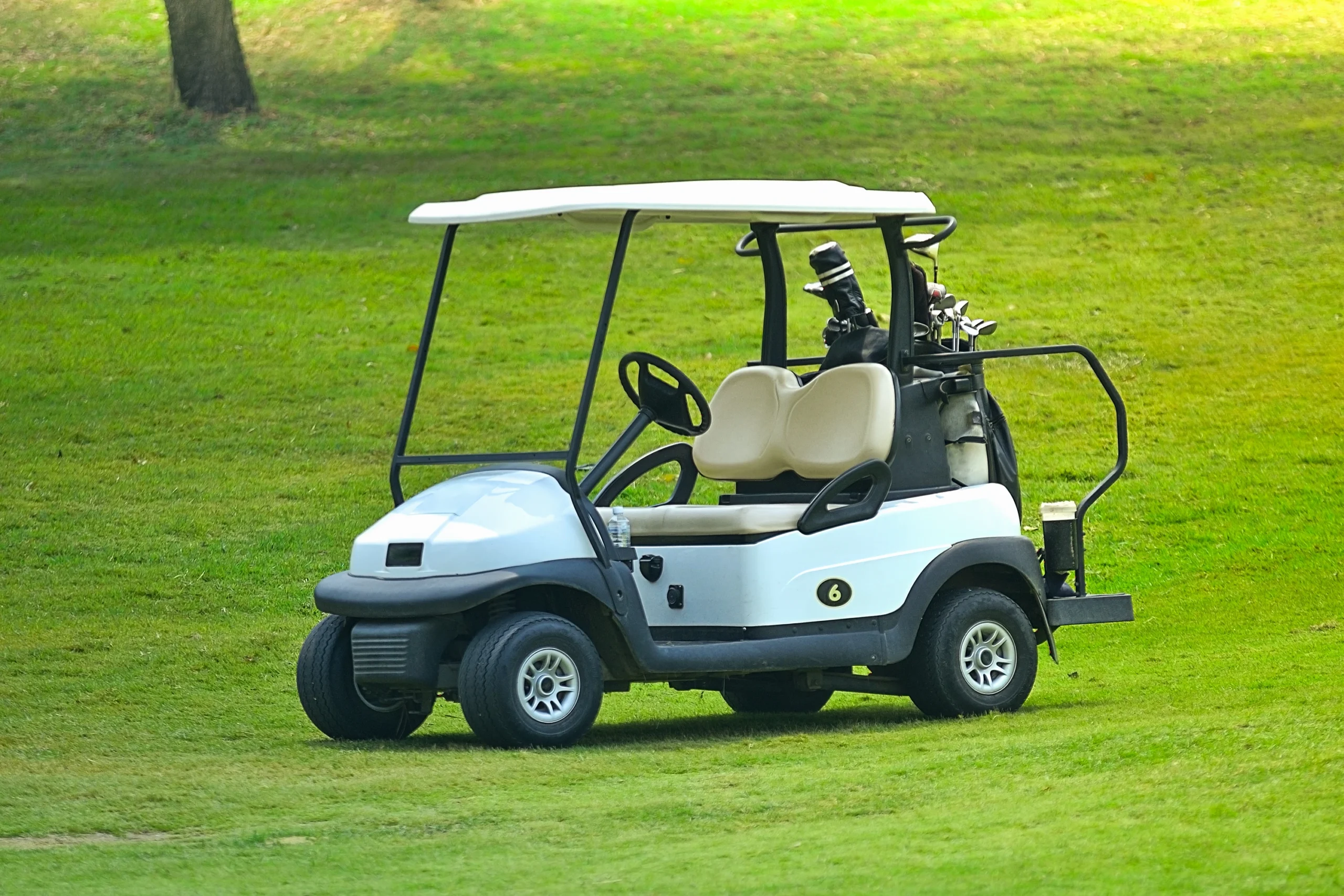 Golf cart on a course, used for a fault tree covering a battery charger that will not charge
