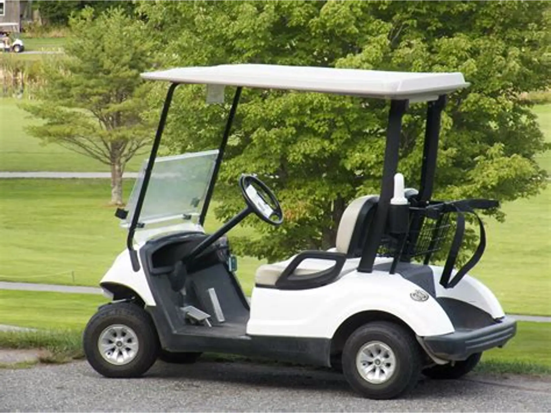 Golf cart parked on a path, used to illustrate diagnosing a cart that will not move while the motor spins