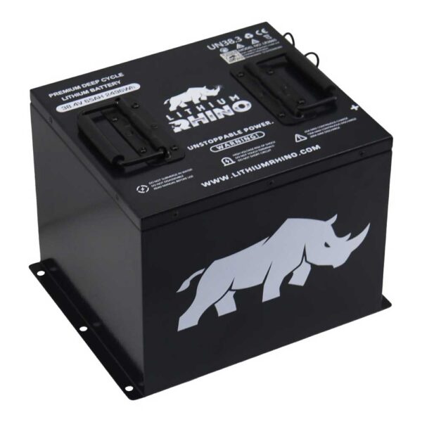 Lithium golf cart battery and conversion components