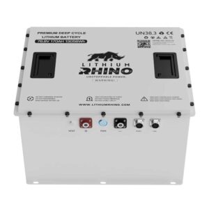 Lithium golf cart battery and conversion components